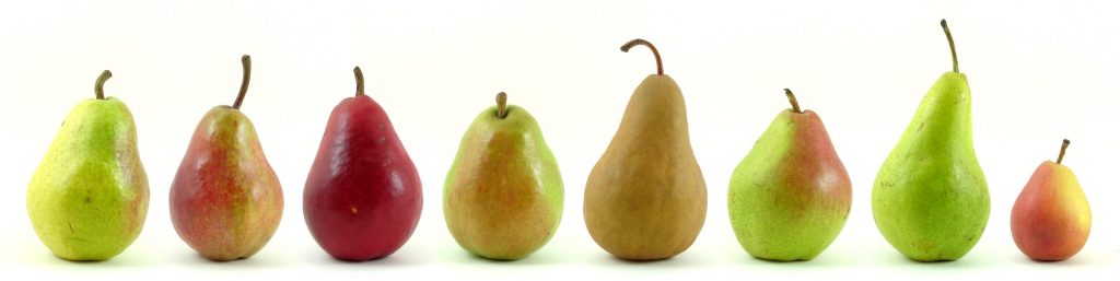 Pear shapes PEAR SHAPE