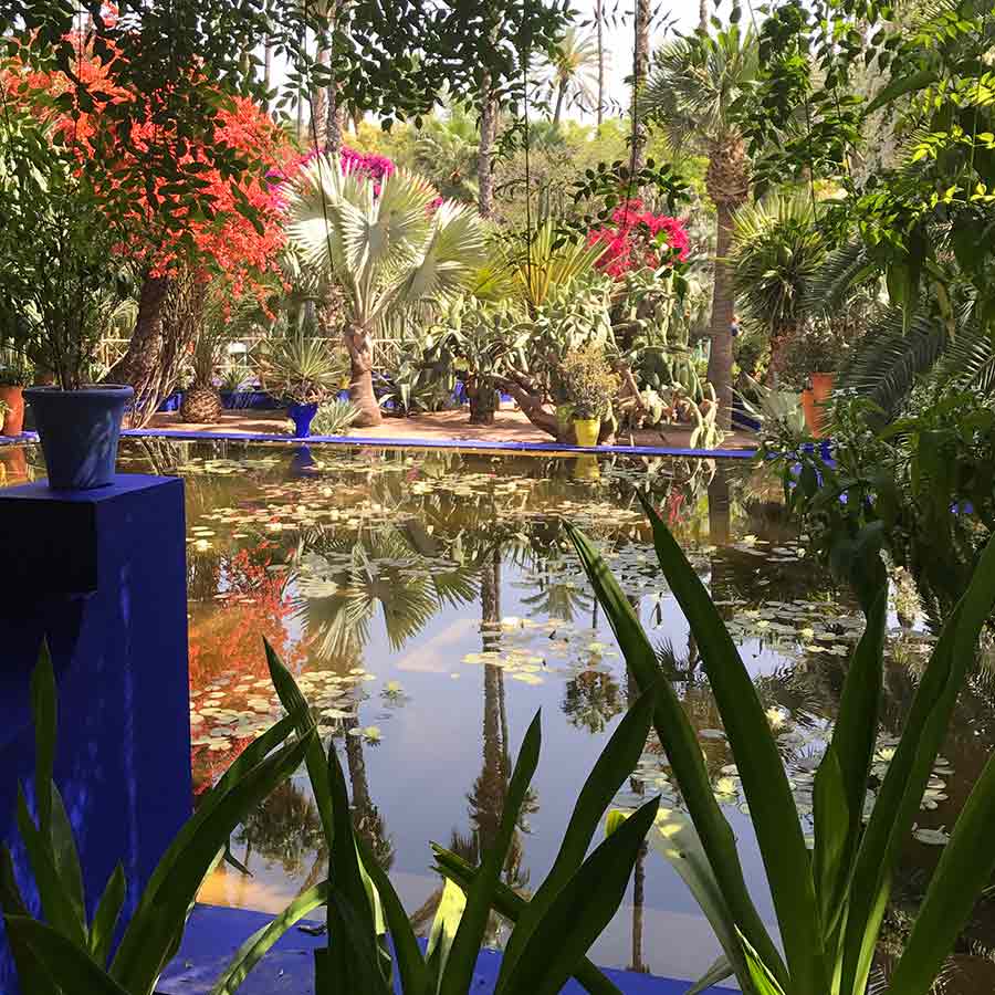 Marrakesh-gardens-Yves-St