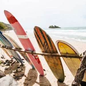 Costa Rica's beaches are full of life and diversity