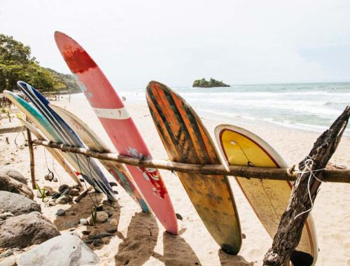 Costa Rica's beaches are full of life and diversity