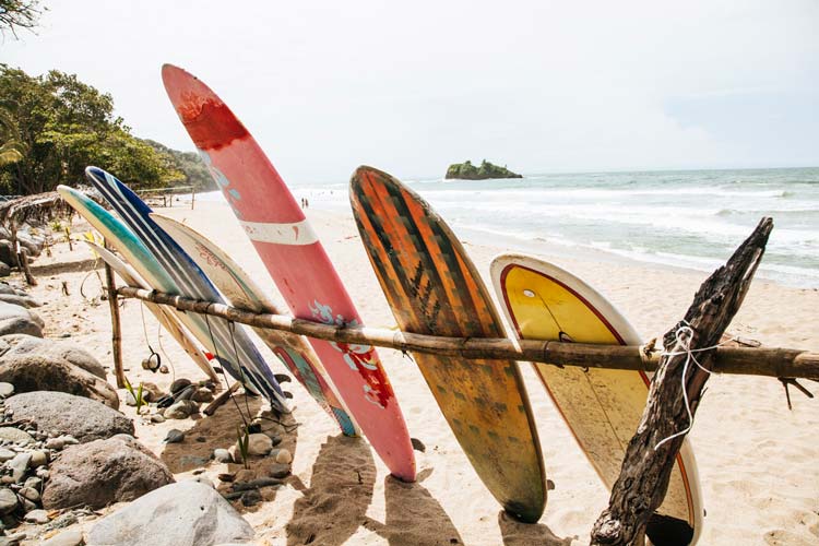 Costa Rica's beaches are full of life and diversity