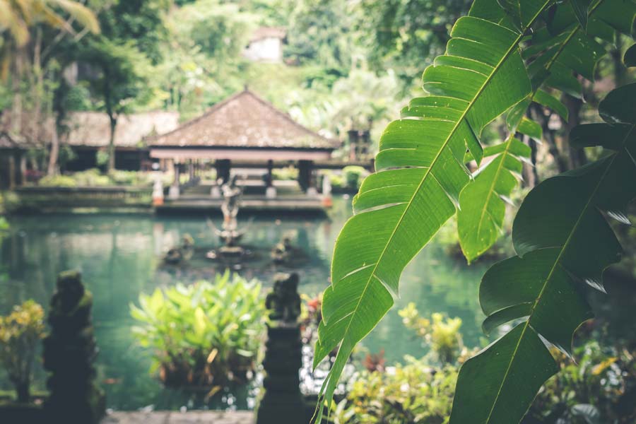 Spa garden in Bali, Indonesia